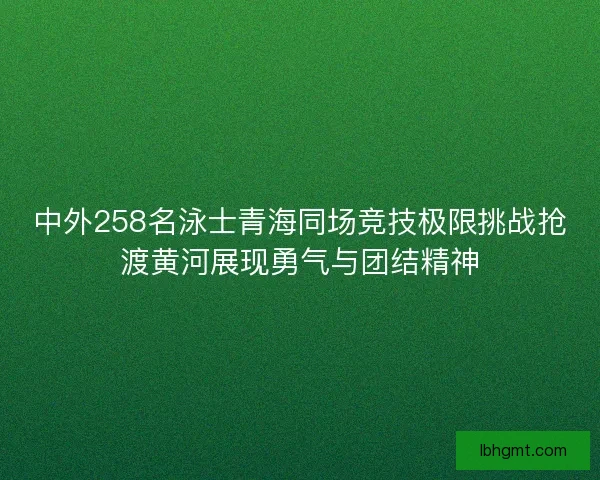 中外258名泳士青海同场竞技极限挑战抢渡黄河展现勇气与团结精神